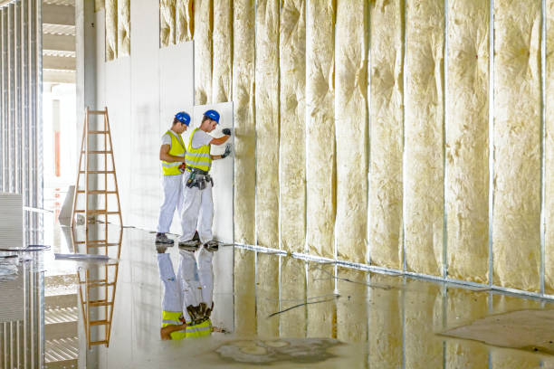 Best Specialized Insulation Services in South San Jose Hills, CA
